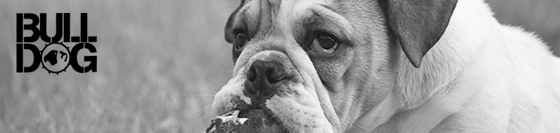 Bulldog mann