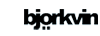 björkvin